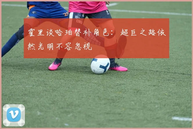 霍里谈哈珀替补角色：超巨之路依然光明不容忽视